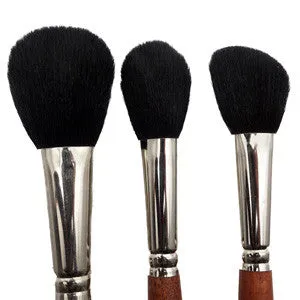 20 Piece Professional Brush Set