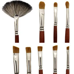 20 Piece Professional Brush Set