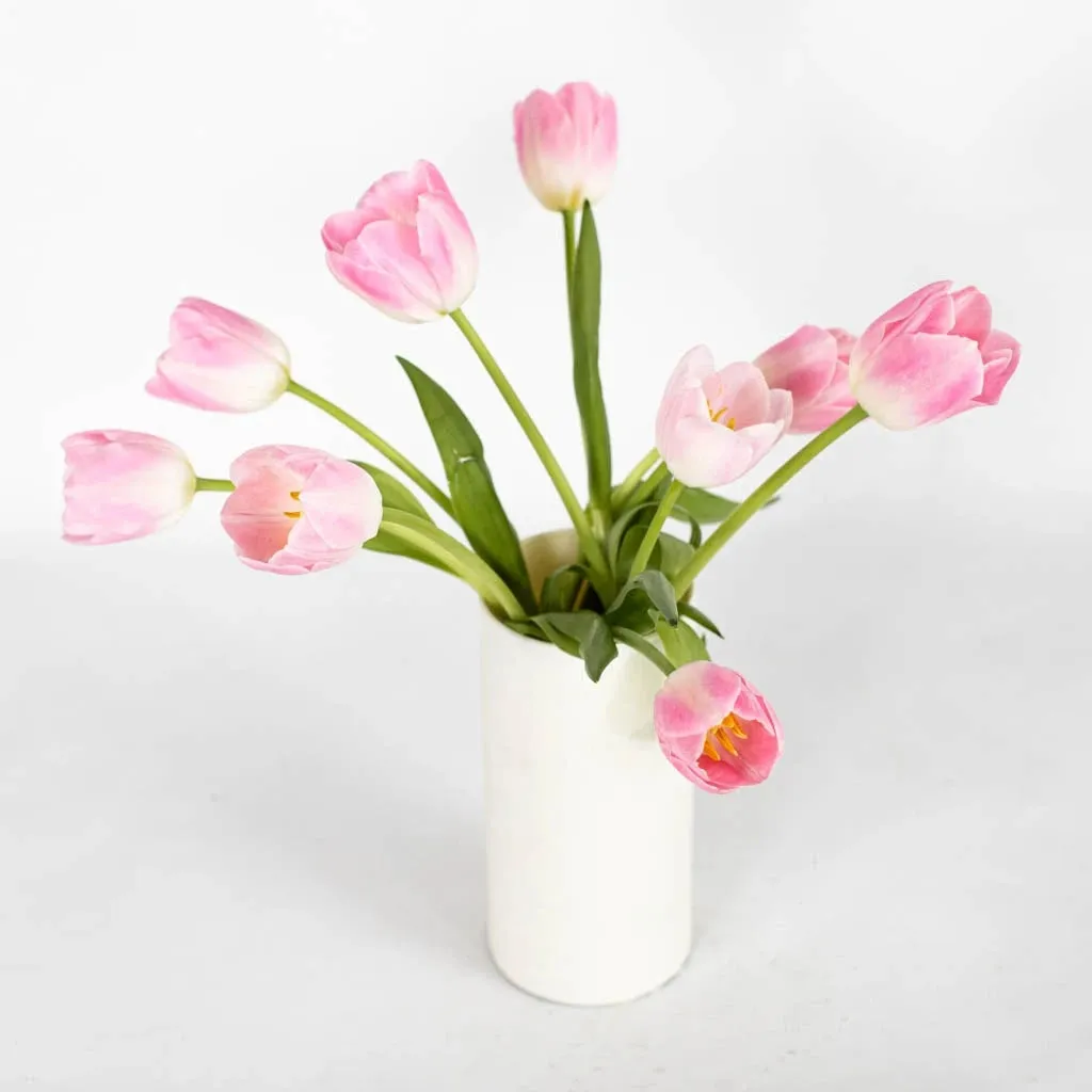 Blush Bulk Tulips