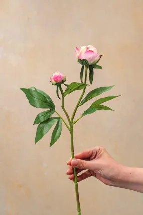 Faux Blush Pink Tight Bud Peony Stem