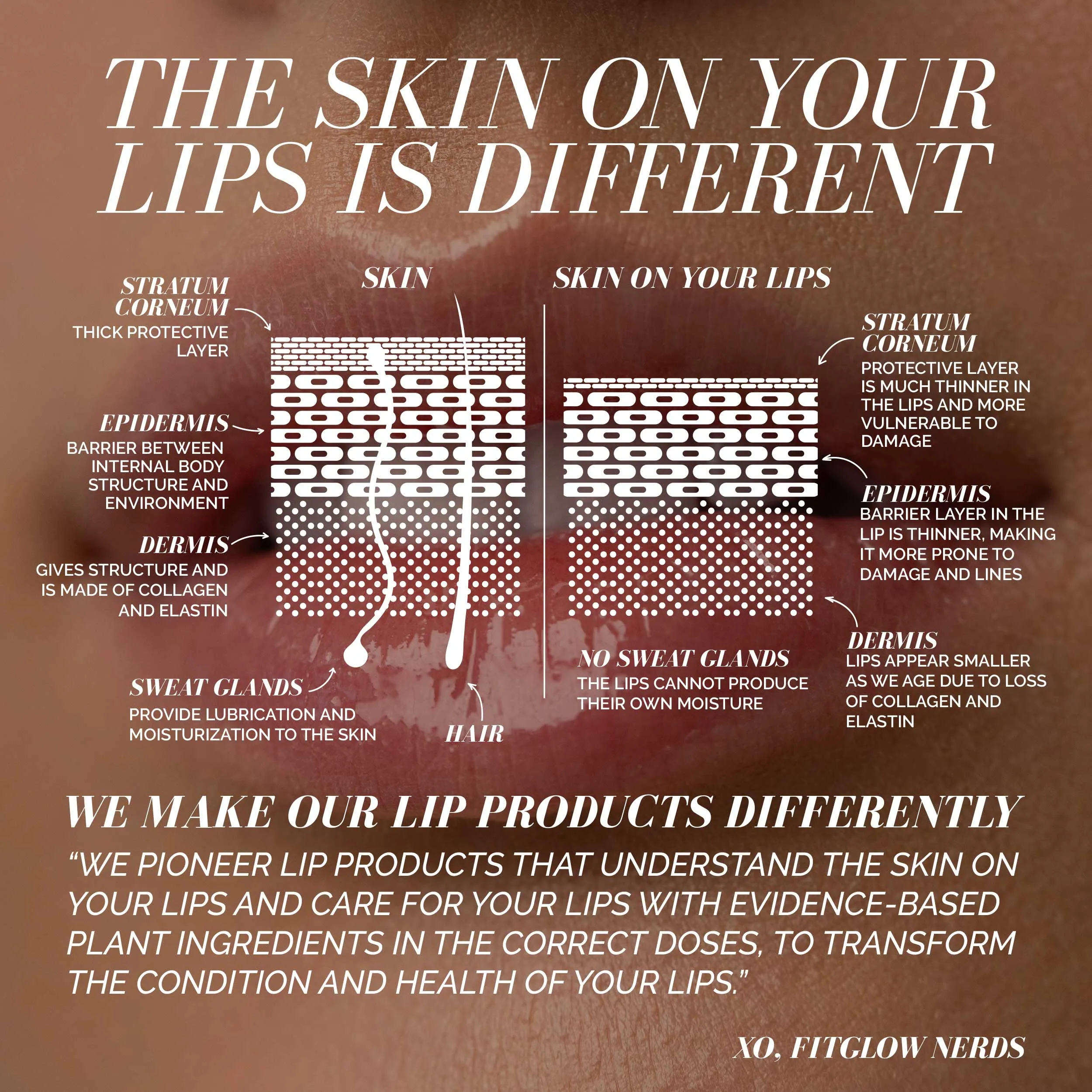 Hydra Lip Balm Duo