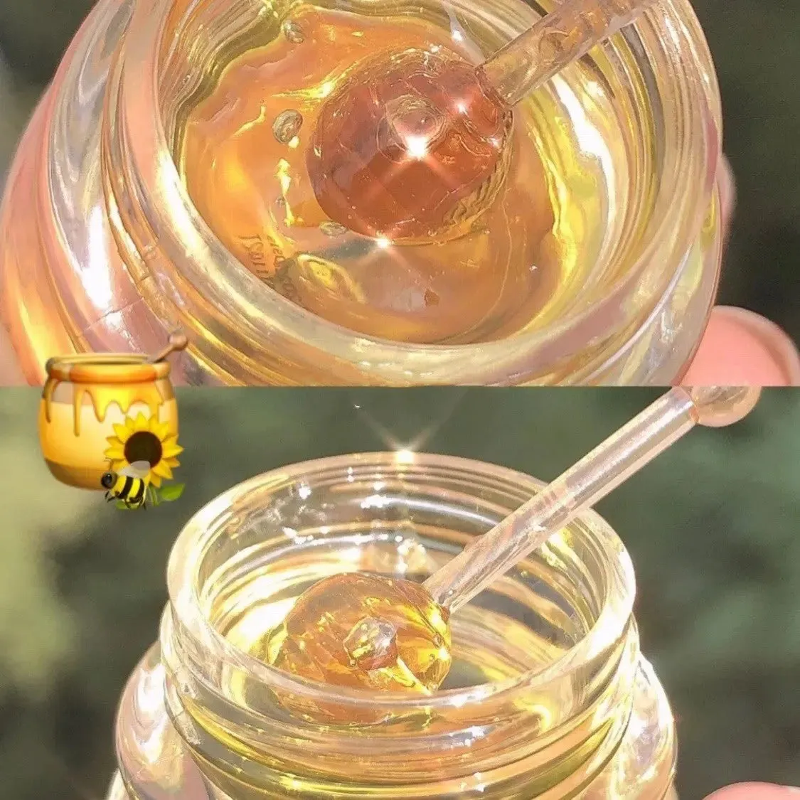 Hydrating Nourishing Lip Balm