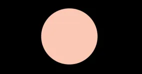 N45 COOL NEUTRAL DUAL POWDER CREAM FOUNDATION