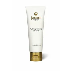 Purifying Foaming Cleanser