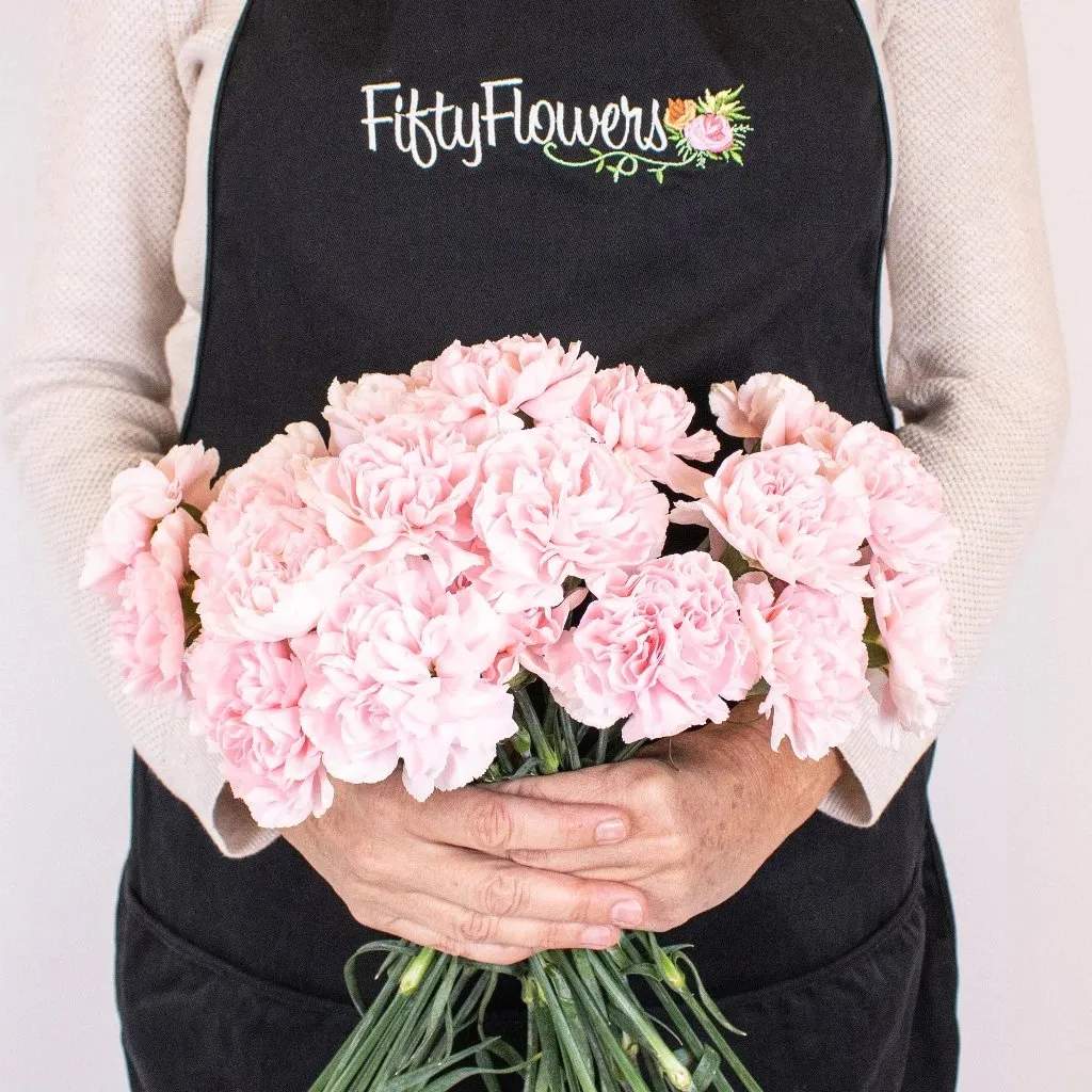 Soft Pink Fresh Carnation Flowers
