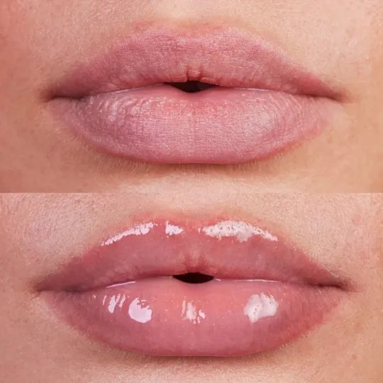 Wet Lip Oil Gloss